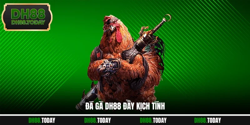 Đá gà DH88 đầy kịch tính