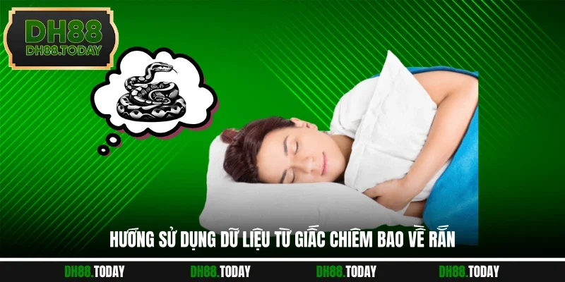 Hướng sử dụng dữ liệu từ giấc chiêm bao về rắn