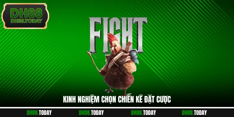 Kinh nghiệm chọn chiến kê hay