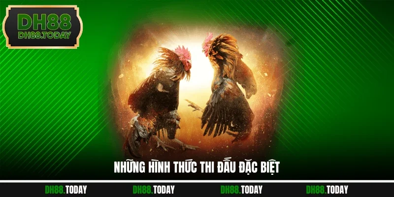 Những hình thức thi đấu hay